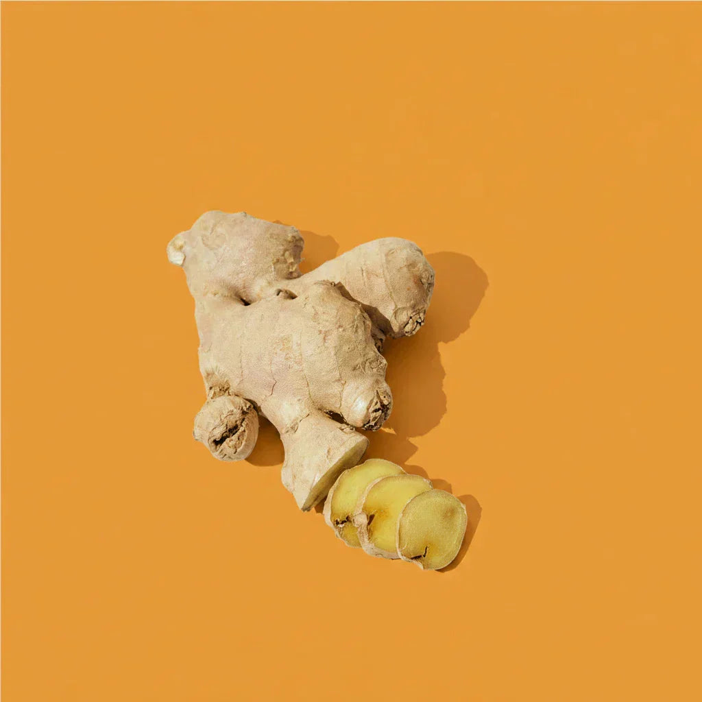 Ginger Note — Brisk, Vibrant & Radiant