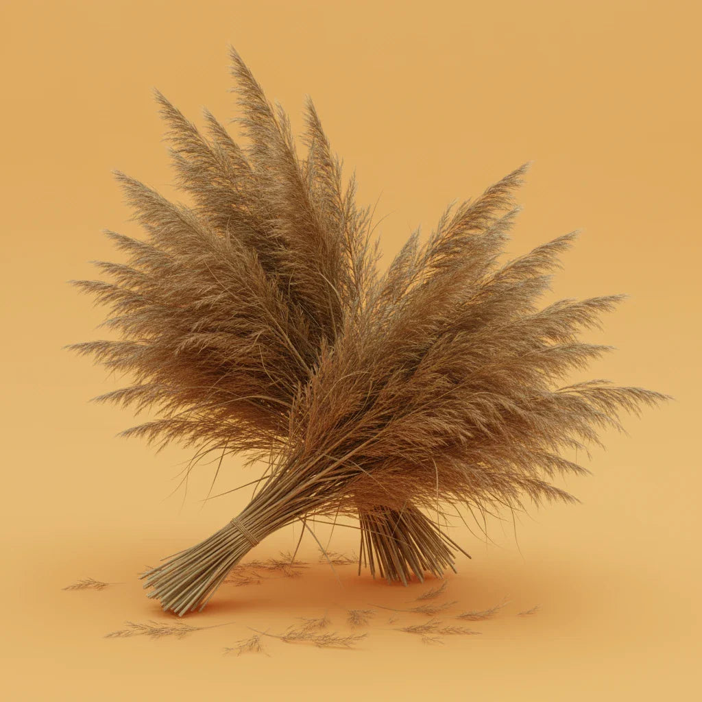 Cantal Grass Bunches: Eco Friendly & Sustainable Botanical Styling