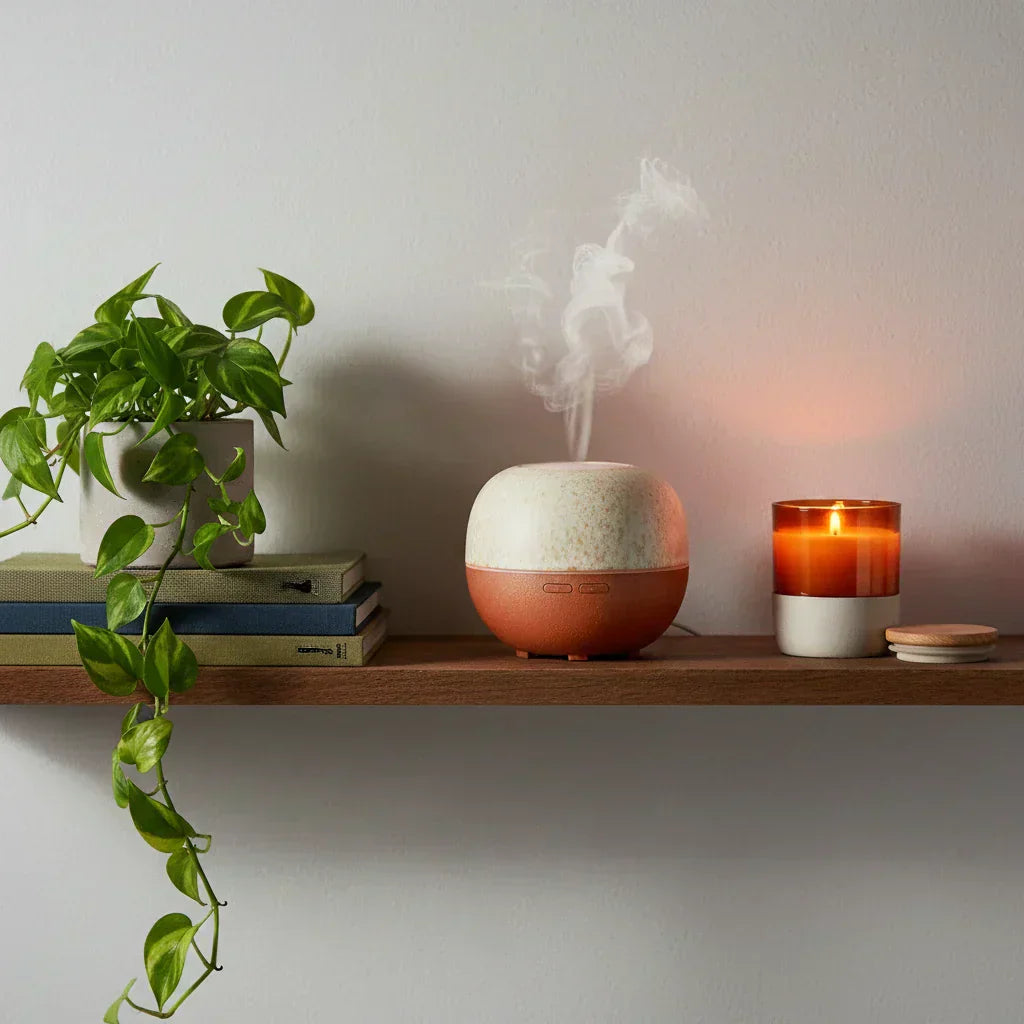Styled shelf with essential oil diffuser and botanicals — complete aromatherapy diffuser guide