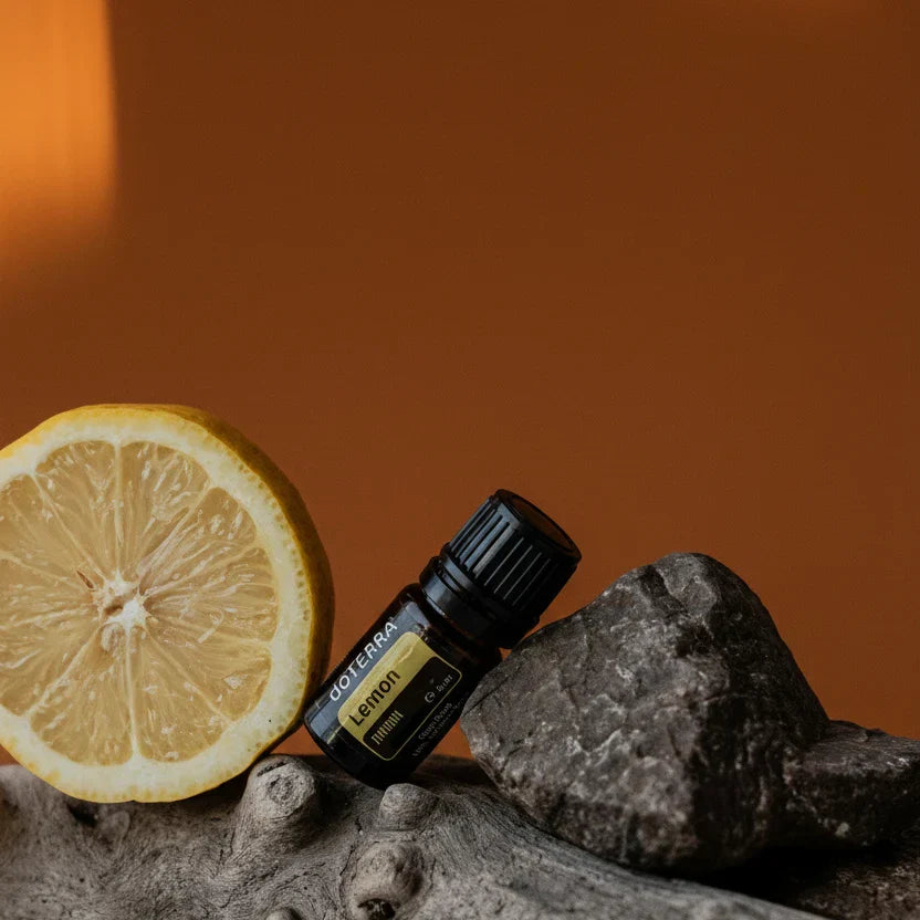 Aromatherapy According to Science: What Research Actually Says About Essential Oils