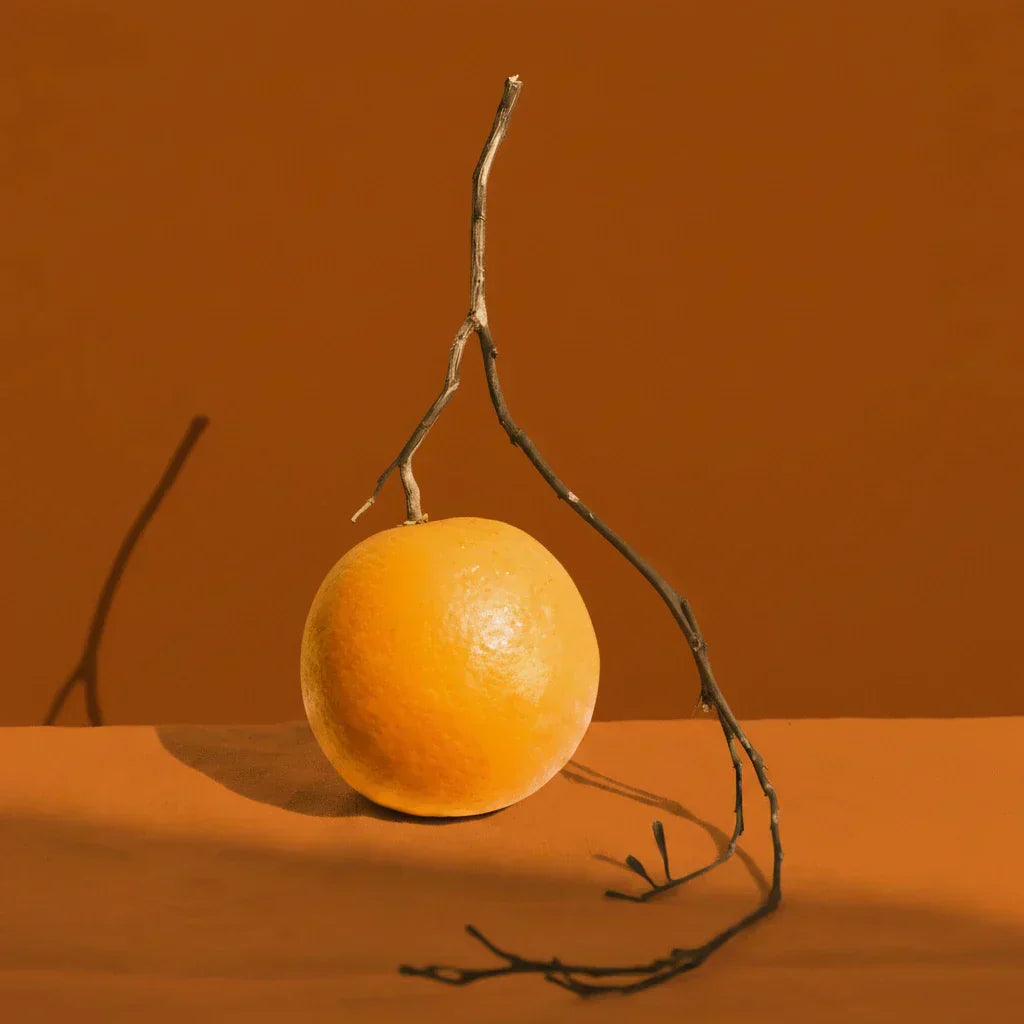 Bergamot Note — Sparkling, Sophisticated & Versatile