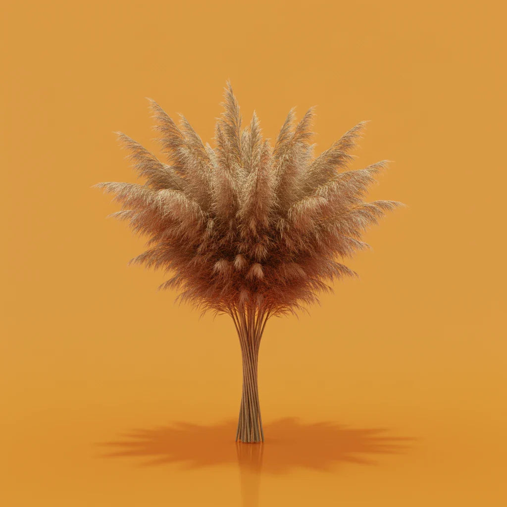 Rayung Grass: Non-Shedding Pampas Alternative That Changes Everything