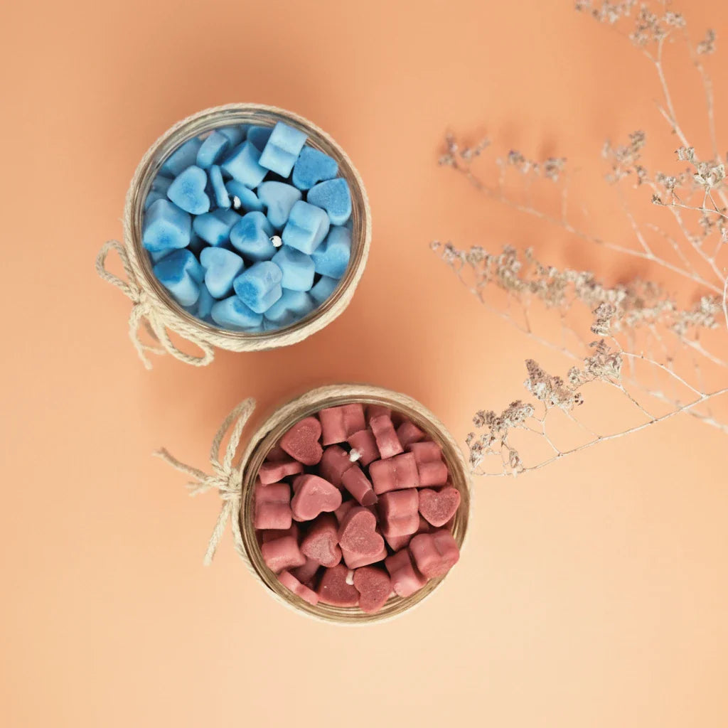 All You Need to Know Guide to Wax Melts