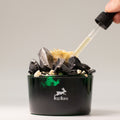 Black container with crystals and a dropper, featuring a brand logo on a gray background Hop Hare Diffusing Crystals & Floral Set - The King