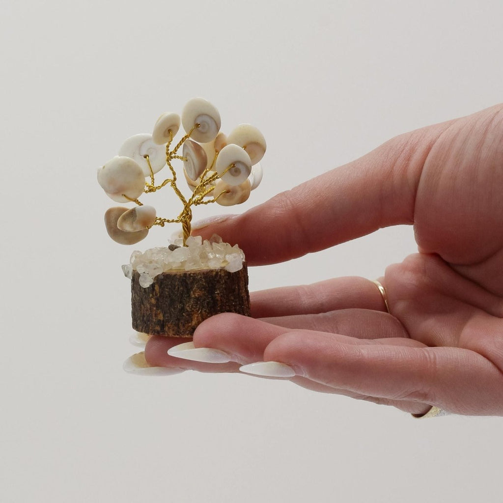 Small Gomati Chakra Circle Stone Tree with Rudraksha - (15 stones)Gomati Chakra Stone TreesHeart Notes
