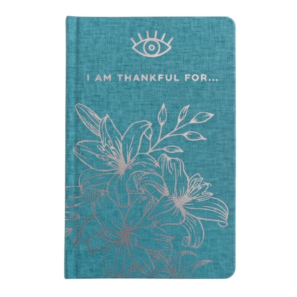 Blue Gratitude Journal with Silver Lining - 120 pages - I am Thankful ForWellness & Gratitude NotebooksHeart Notes