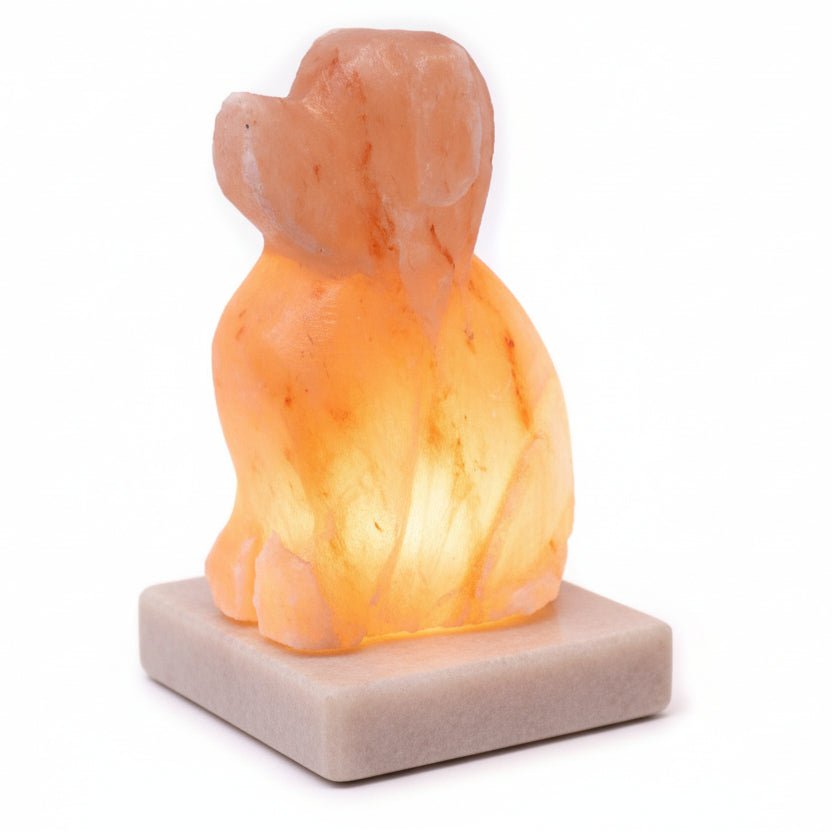 Multicolour Himalayan Salt Dog ShapedQuality Himalayan Salt Lamps & Candle HoldersHeart Notes