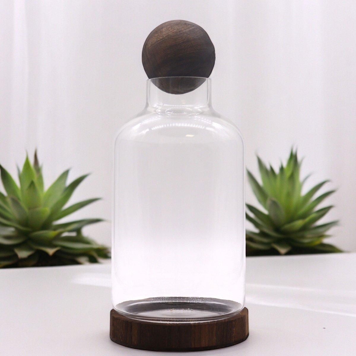Large Ball Top Terrarium on Dark Tung WoodGlass TerrariumsHeart Notes