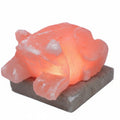 Multicolour Himalayan Salt Lamp Toad ShapedQuality Himalayan Salt Lamps & Candle HoldersHeart Notes