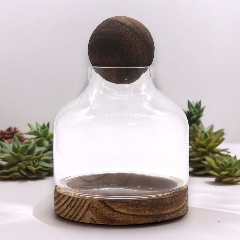 Medium Ball Top Terrarium on Dark Tung WoodGlass TerrariumsHeart Notes