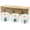 Med Botanical Candles - Lemon HoneysuckleBotanical CandlesHeart Notes