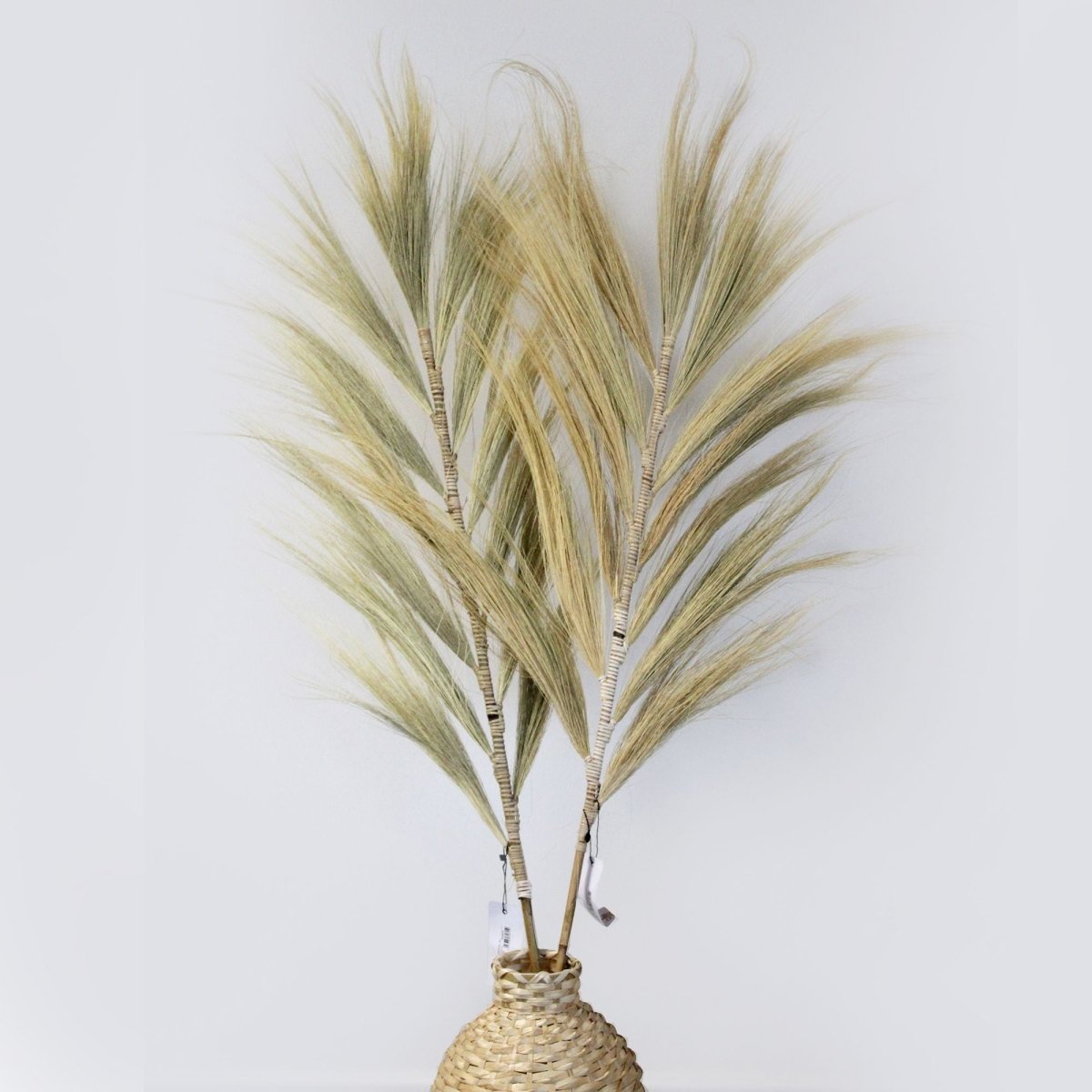 Rayung Grass Blond - 1.6mRayung GrassHeart Notes