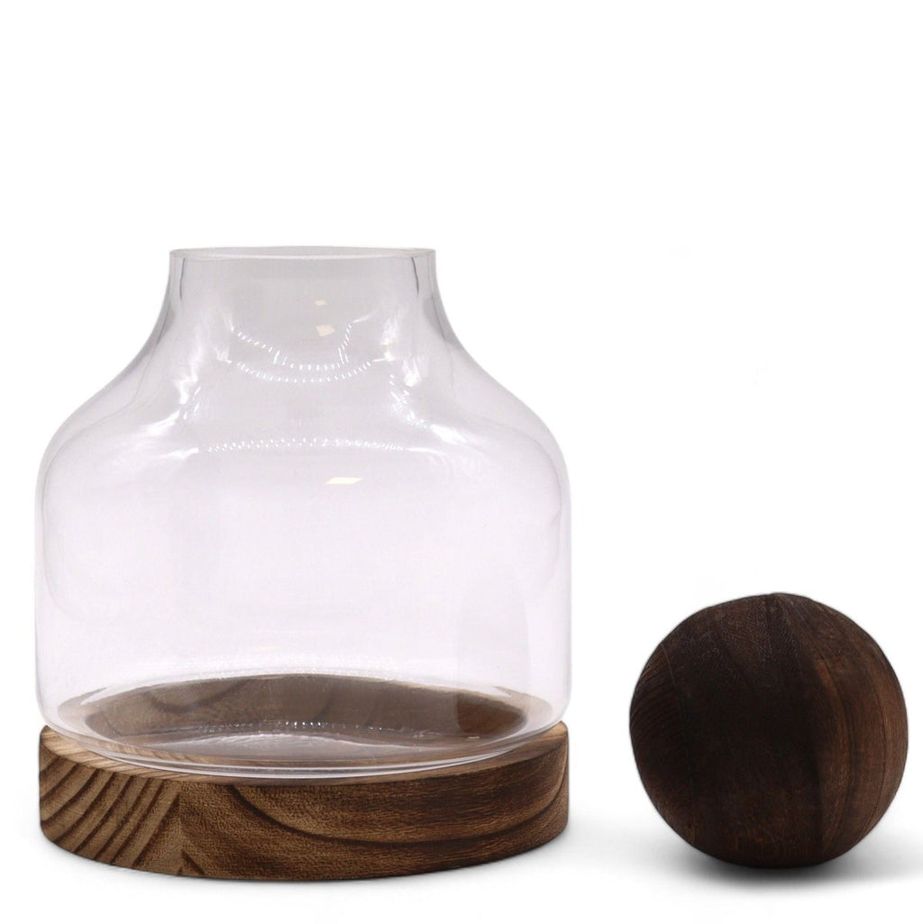 Medium Ball Top Terrarium on Dark Tung WoodGlass TerrariumsHeart Notes