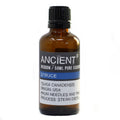 Spruce 50mlProfessional 50ml Essential OilHeart Notes