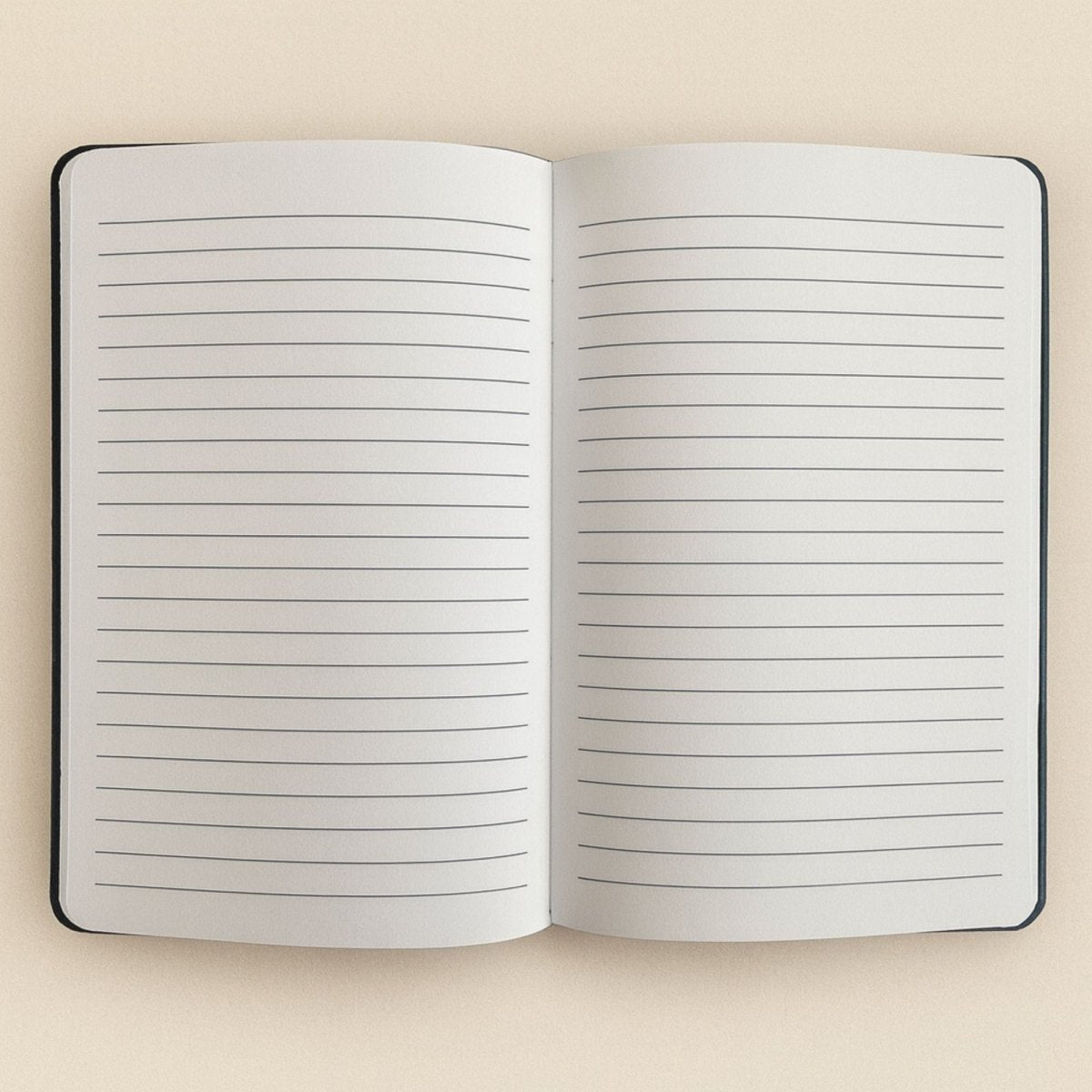 Black Velvet Notebook - 80 pages - Carpe DiemWellness & Gratitude NotebooksHeart Notes