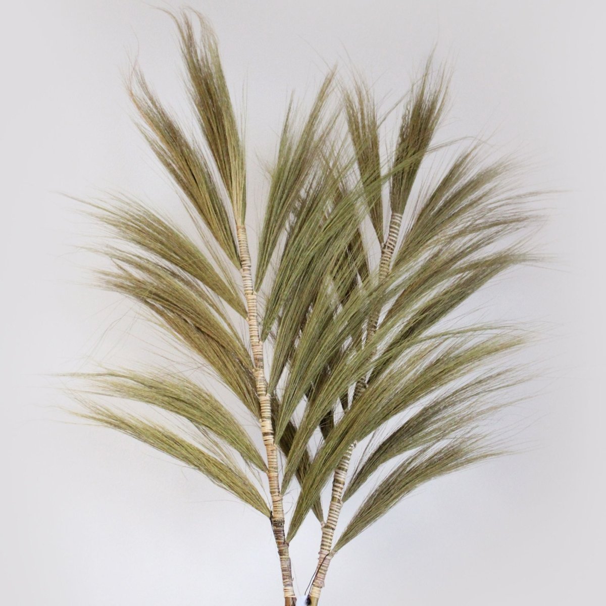 Rayung Grass Natural - 2mRayung GrassHeart Notes