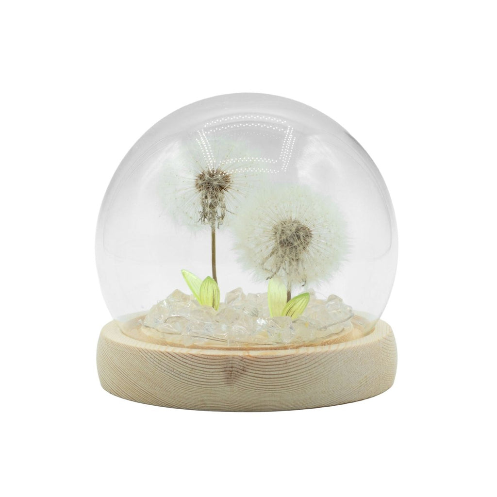 Floral Glow Garden Dome - 2 Dandelions - LED USBFloral Glow Garden DomeHeart Notes
