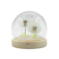 Floral Glow Garden Dome - 2 Dandelions - LED USBFloral Glow Garden DomeHeart Notes
