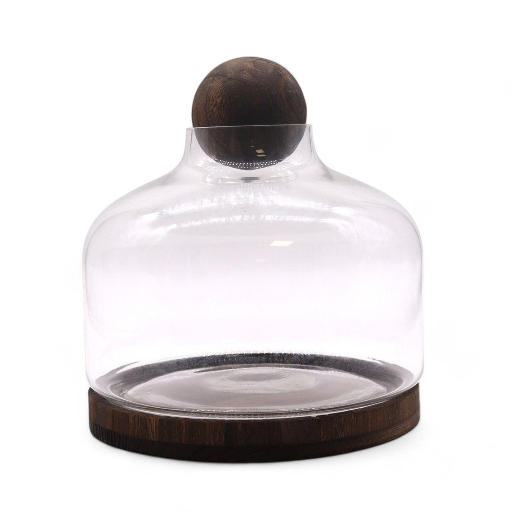 Ex - Large Ball Top Terrarium on Dark Tung WoodGlass TerrariumsHeart Notes