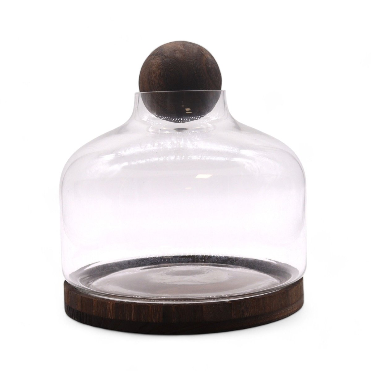 Ex - Large Ball Top Terrarium on Dark Tung WoodGlass TerrariumsHeart Notes
