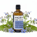 Borage Oil - 100ml100ml Base Carrier OilsHeart Notes
