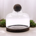 Ex - Large Ball Top Terrarium on Dark Tung WoodGlass TerrariumsHeart Notes