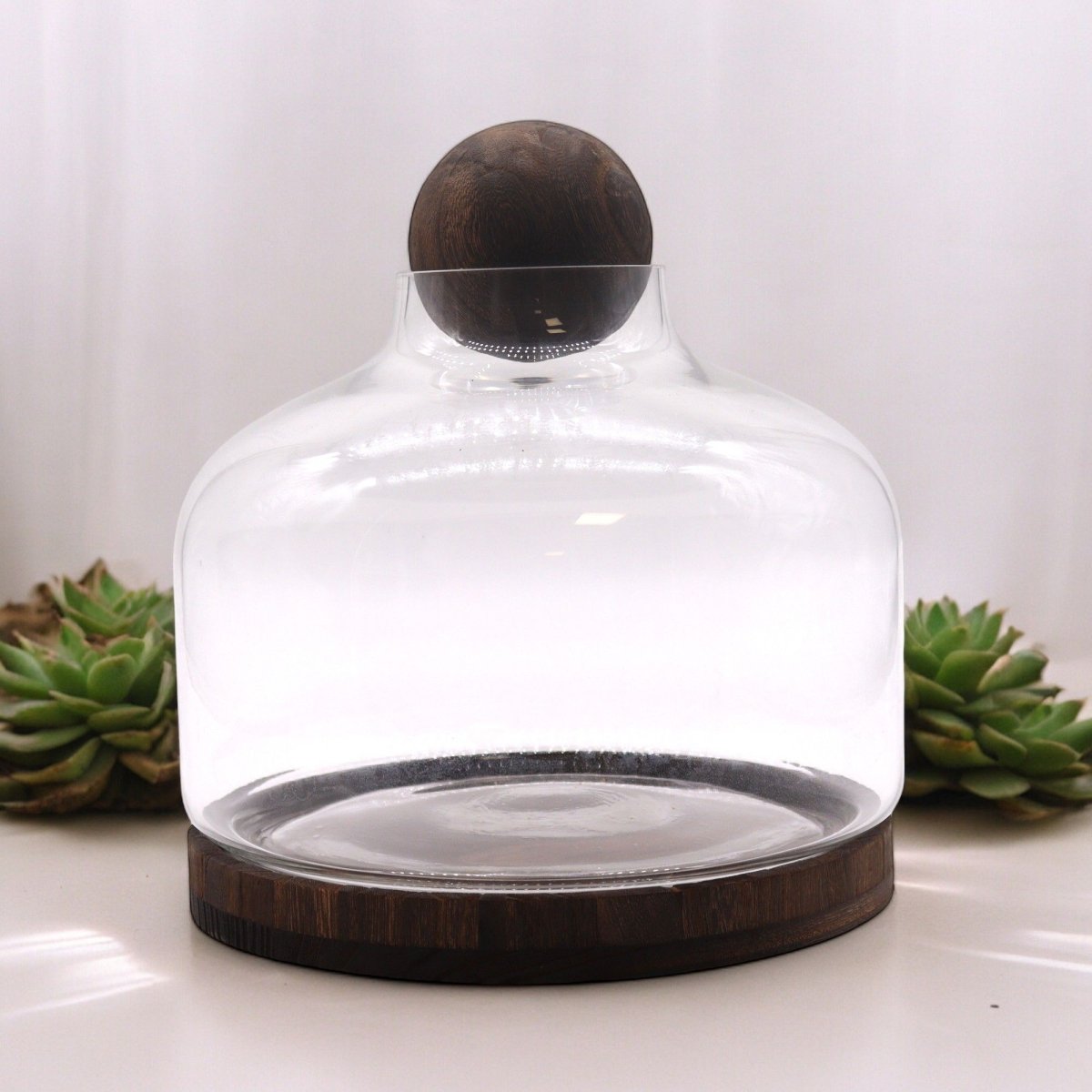 Ex - Large Ball Top Terrarium on Dark Tung WoodGlass TerrariumsHeart Notes