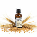 Wheatgerm Oil - 50mlBase Oils - 50ml Amber BottleHeart Notes
