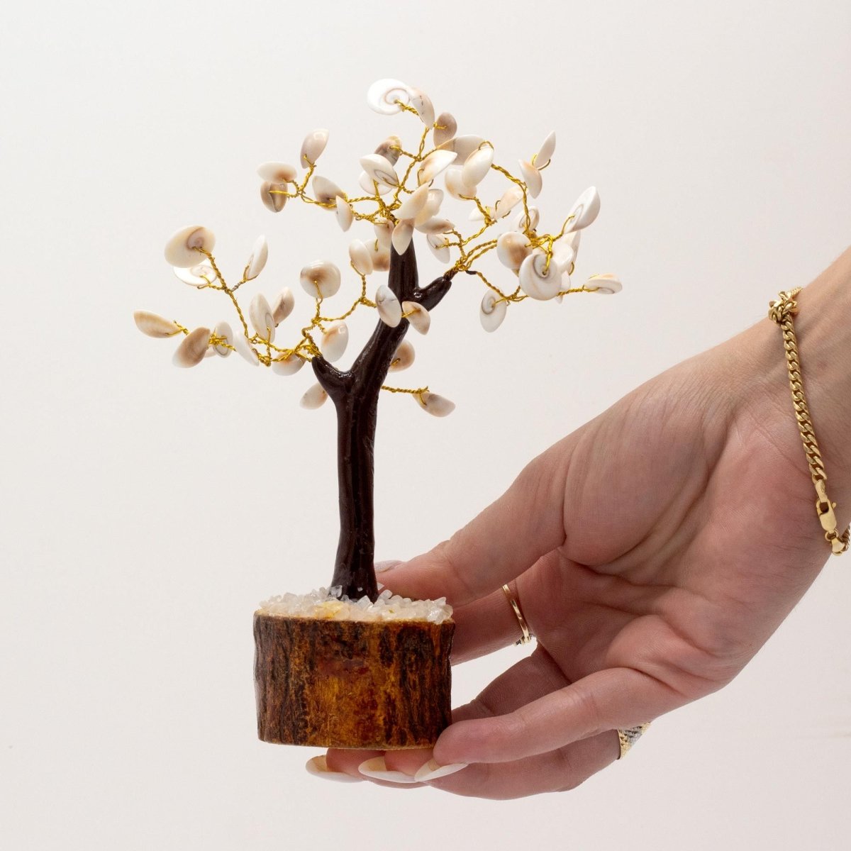Lrg Gomati Chakra Circle Stone Tree - (60 stones)Gomati Chakra Stone TreesHeart Notes