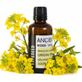 Rapeseed Oil - 50mlBase Oils - 50ml Amber BottleHeart Notes