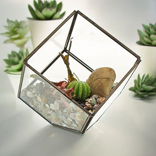 Glass Terrarium - Cube on CornerGlass TerrariumsHeart Notes