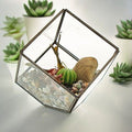 Glass Terrarium - Cube on CornerGlass TerrariumsHeart Notes