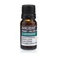 10 ml CornmintEssential OilsHeart Notes