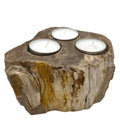 Petrified Wood Candle Holder - TriplePetrified Wood Candle HolderHeart Notes