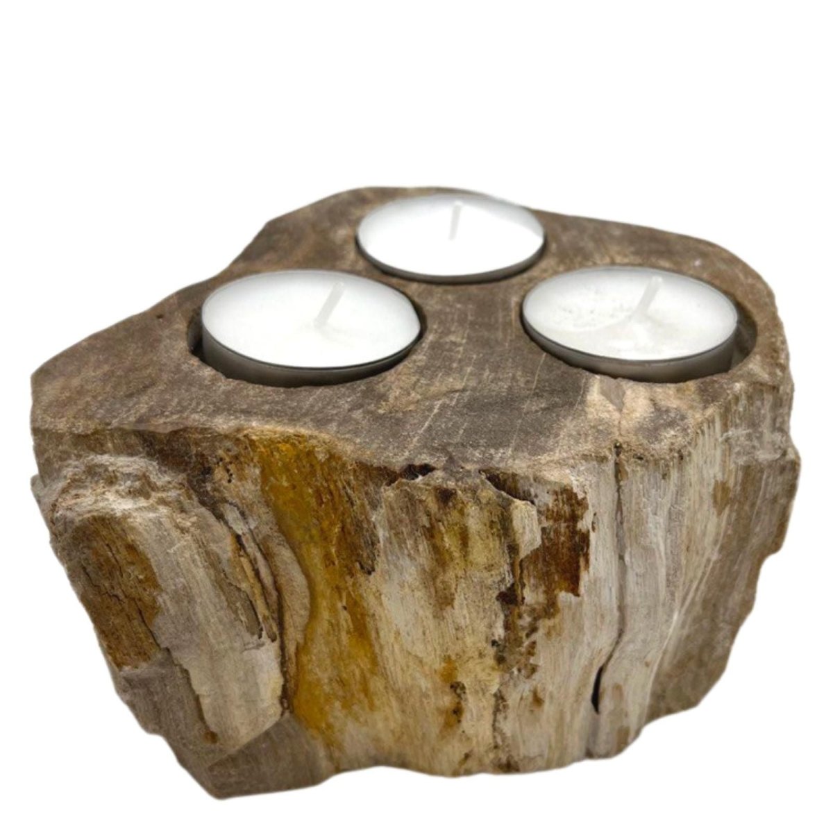 Petrified Wood Candle Holder - TriplePetrified Wood Candle HolderHeart Notes