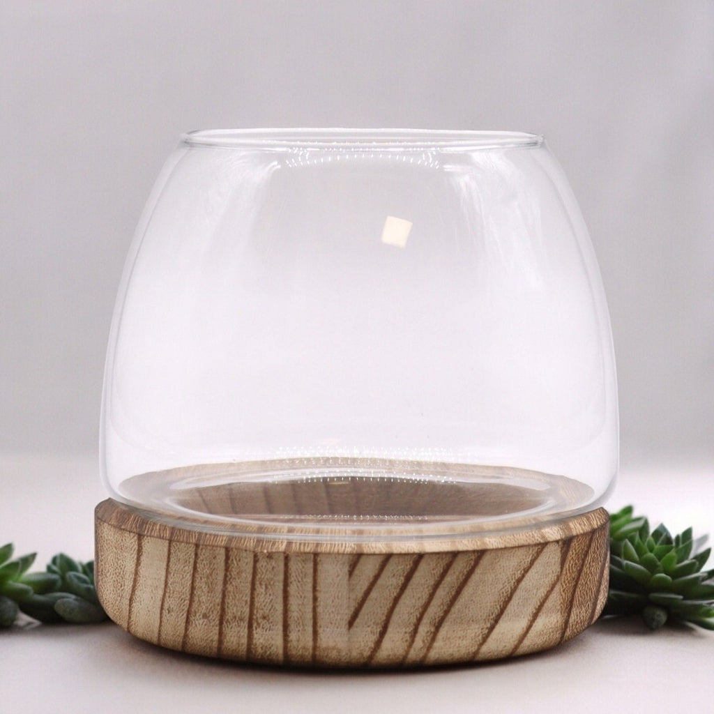Small Terrarium on Natural Tung WoodGlass TerrariumsHeart Notes
