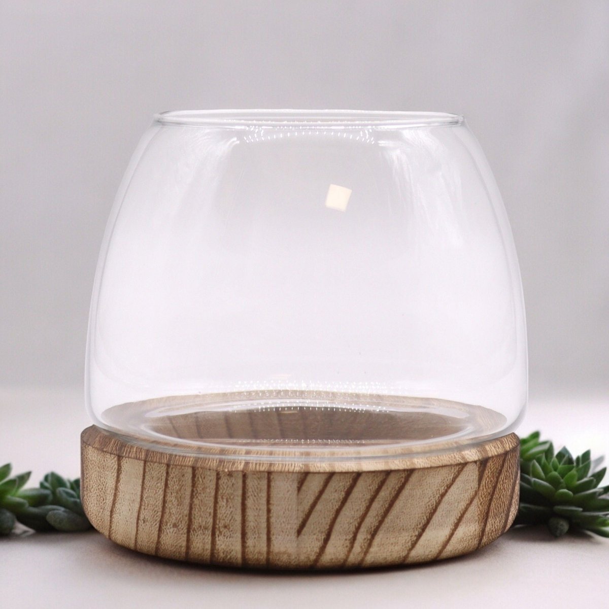 Small Terrarium on Natural Tung WoodGlass TerrariumsHeart Notes