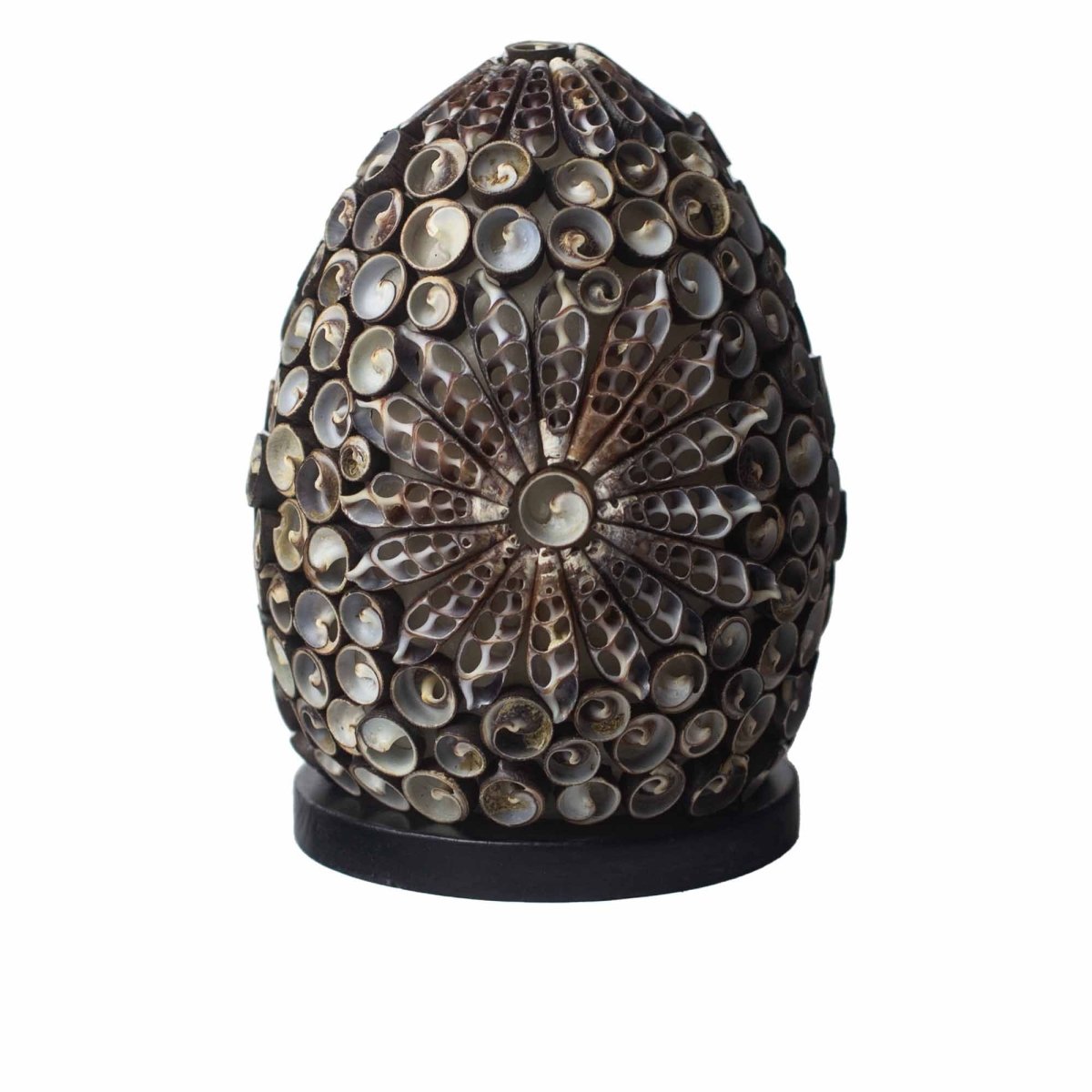 Boho Sea Shell Lamp - Chocolate Twist Oval - 15cmBoho Seashell LampsHeart Notes