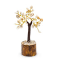 Med Gomati Chakra Circle Stone Tree - (45 stones)Gomati Chakra Stone TreesHeart Notes