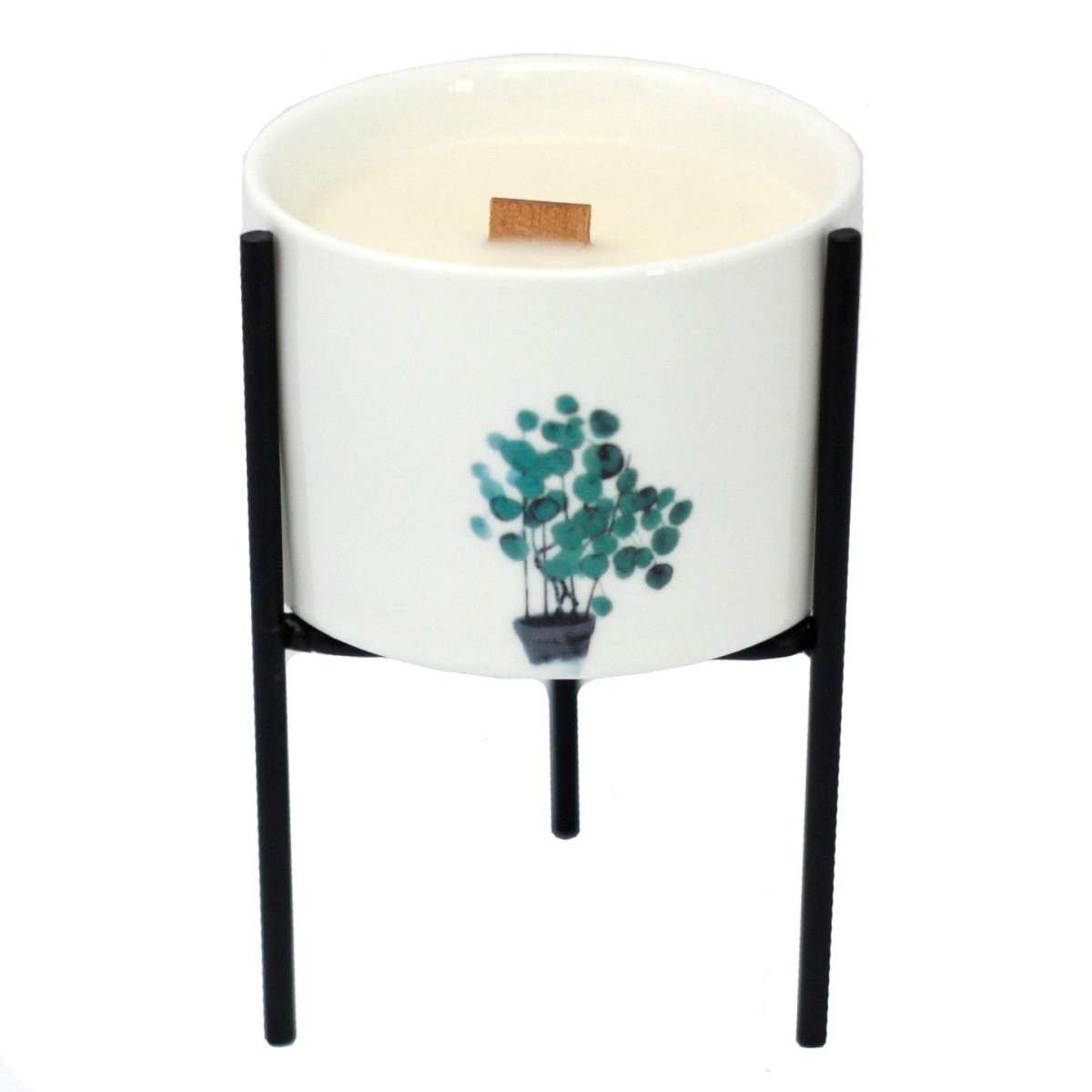 Iron Botanical Candle HolderBotanical CandlesHeart Notes