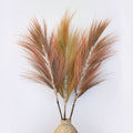 Rayung Grass Coral - 1.6mRayung GrassHeart Notes