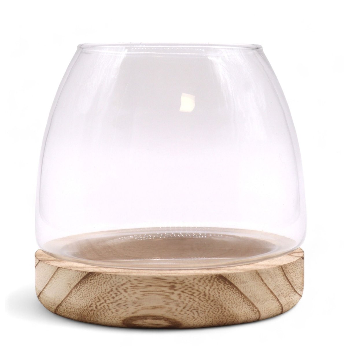 Medium Terrarium on Natural Tung WoodGlass TerrariumsHeart Notes