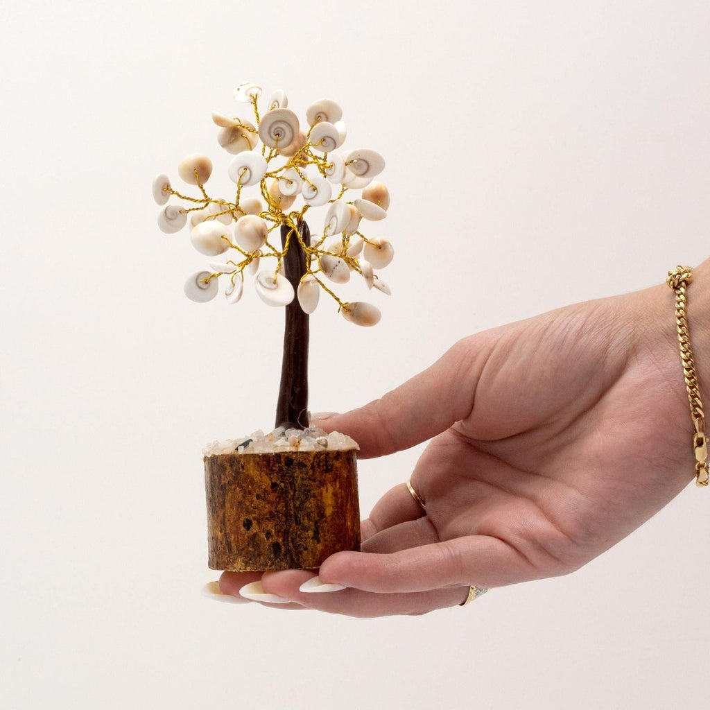 Med Gomati Chakra Circle Stone Tree - (45 stones)Gomati Chakra Stone TreesHeart Notes