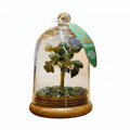 Gemstone Dome Garden - Green Aventurine - 30 chipstonesGemstone Tree GardensHeart Notes