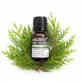 Cypress Organic Essential Oil 10mlOrganic Essential OilsHeart Notes