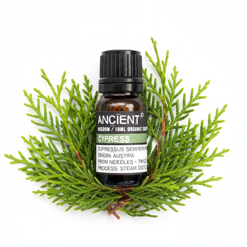 Cypress Organic Essential Oil 10mlOrganic Essential OilsHeart Notes