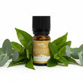Agnes + Cat Essential Oil Blend - Great Gable - Eucalyptus, Ravensara & Corn MintAgnes + Cat Essential Oil BlendsHeart Notes