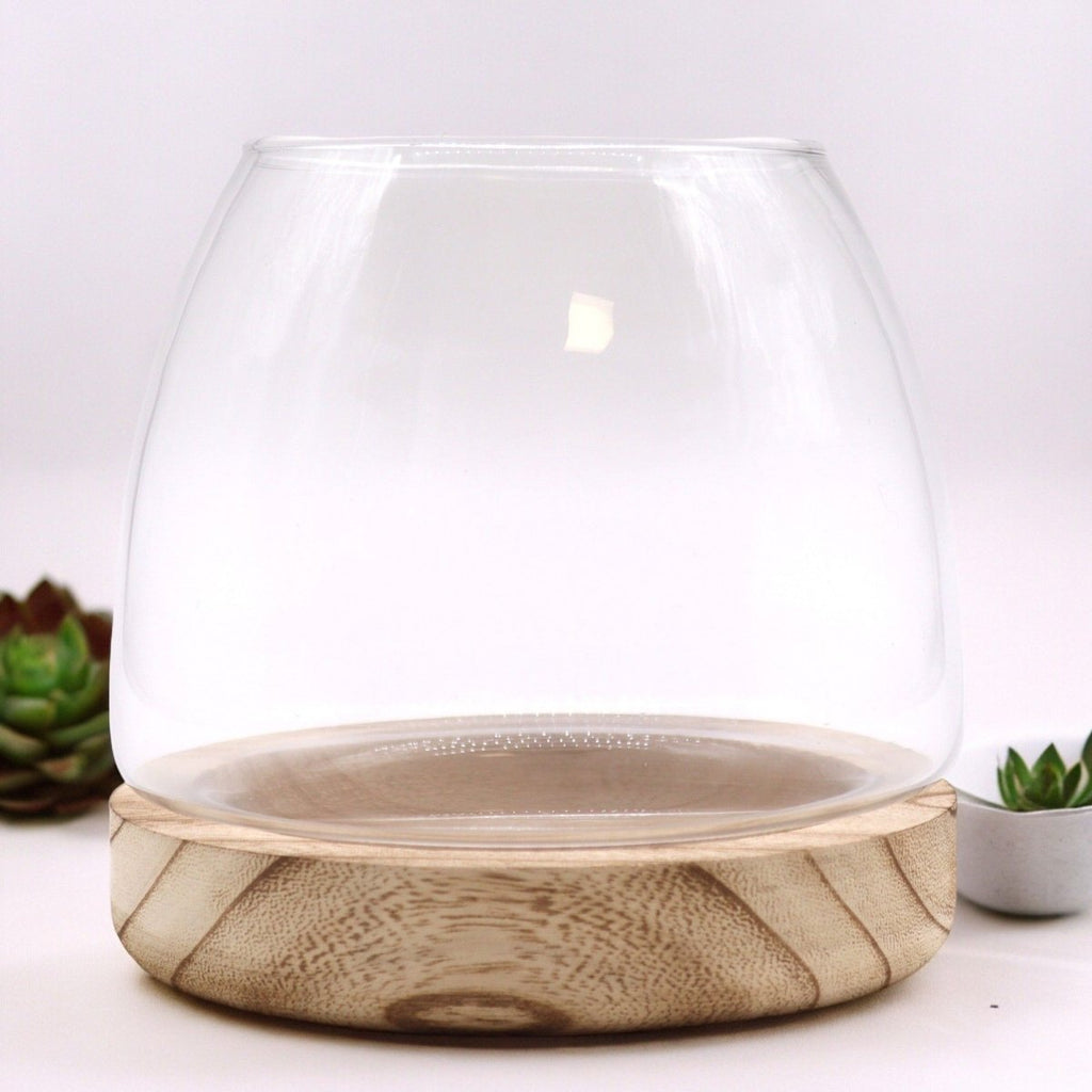 Medium Terrarium on Natural Tung WoodGlass TerrariumsHeart Notes