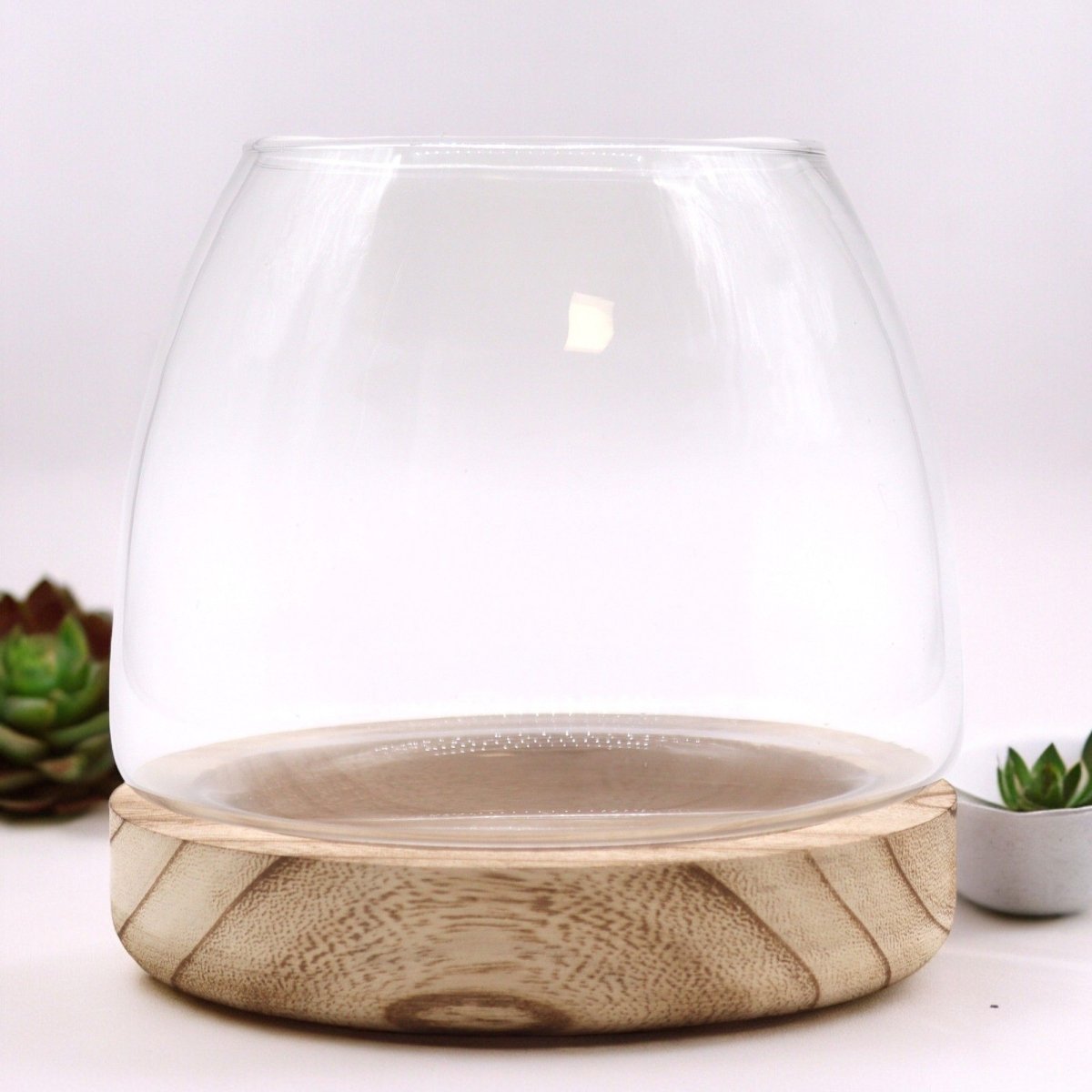 Medium Terrarium on Natural Tung WoodGlass TerrariumsHeart Notes