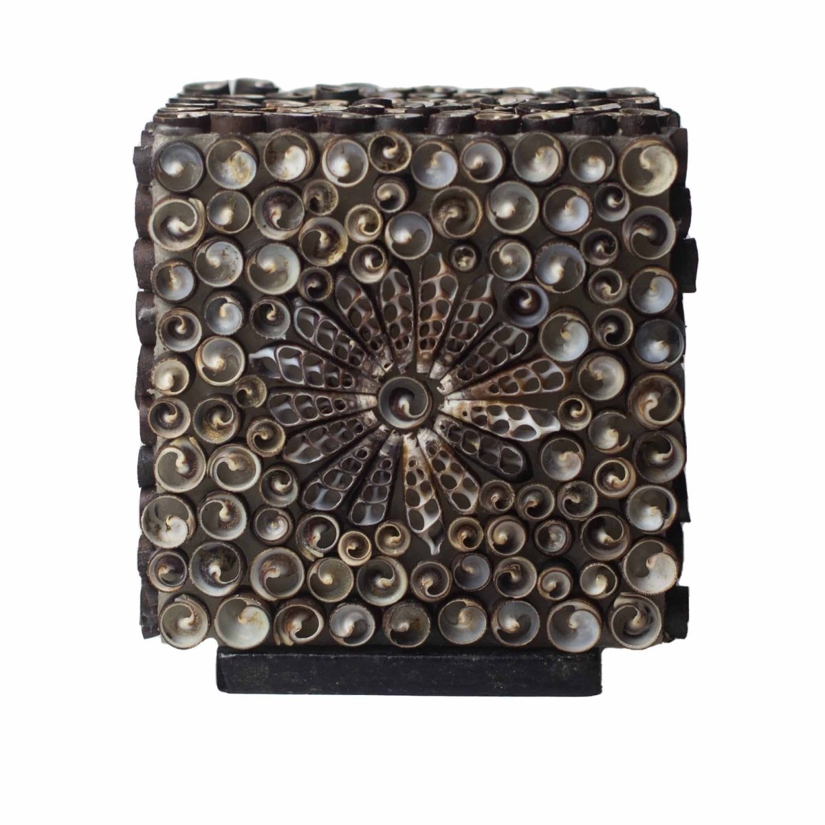 Boho Sea Shell Lamp - Chocolate Twist Square - 15cmBoho Seashell LampsHeart Notes